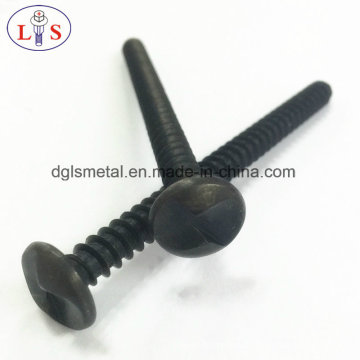 Security Screw/Anti-Theft Security Screw with High Strength